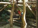Rosamond Gifford Zoo at Burnet Park.